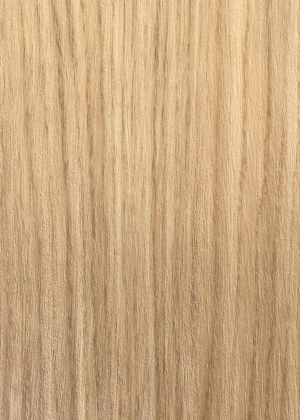 Rovere True Oak 1309